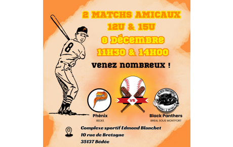 Matchs Amicaux